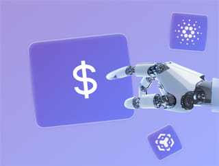 Crypto portfolio growth tracker showing profits and balance on test dev